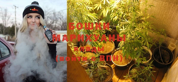 PSILOCYBIN Мегион