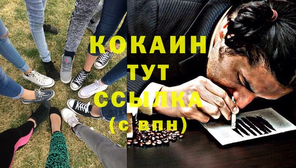 PSILOCYBIN Мегион