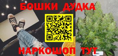 прущие грибы Дубна