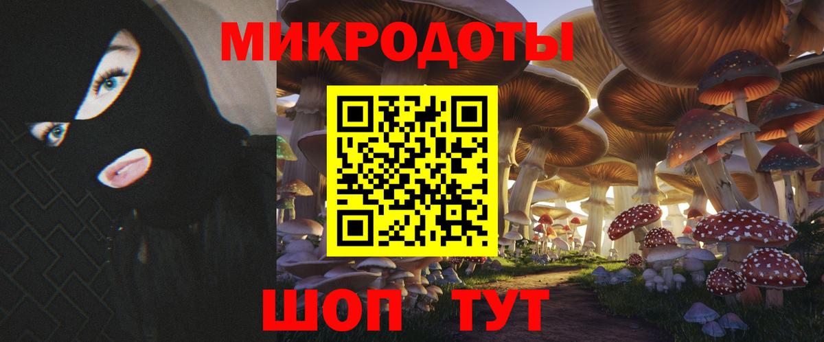 Ульяновск  Псилоцибиновые грибы Psilocybine cubensis  Вход с VPN 